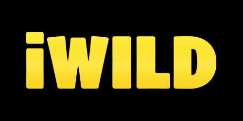 iWild Casino