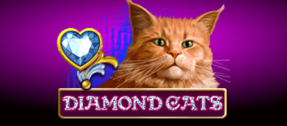Diamond Cats